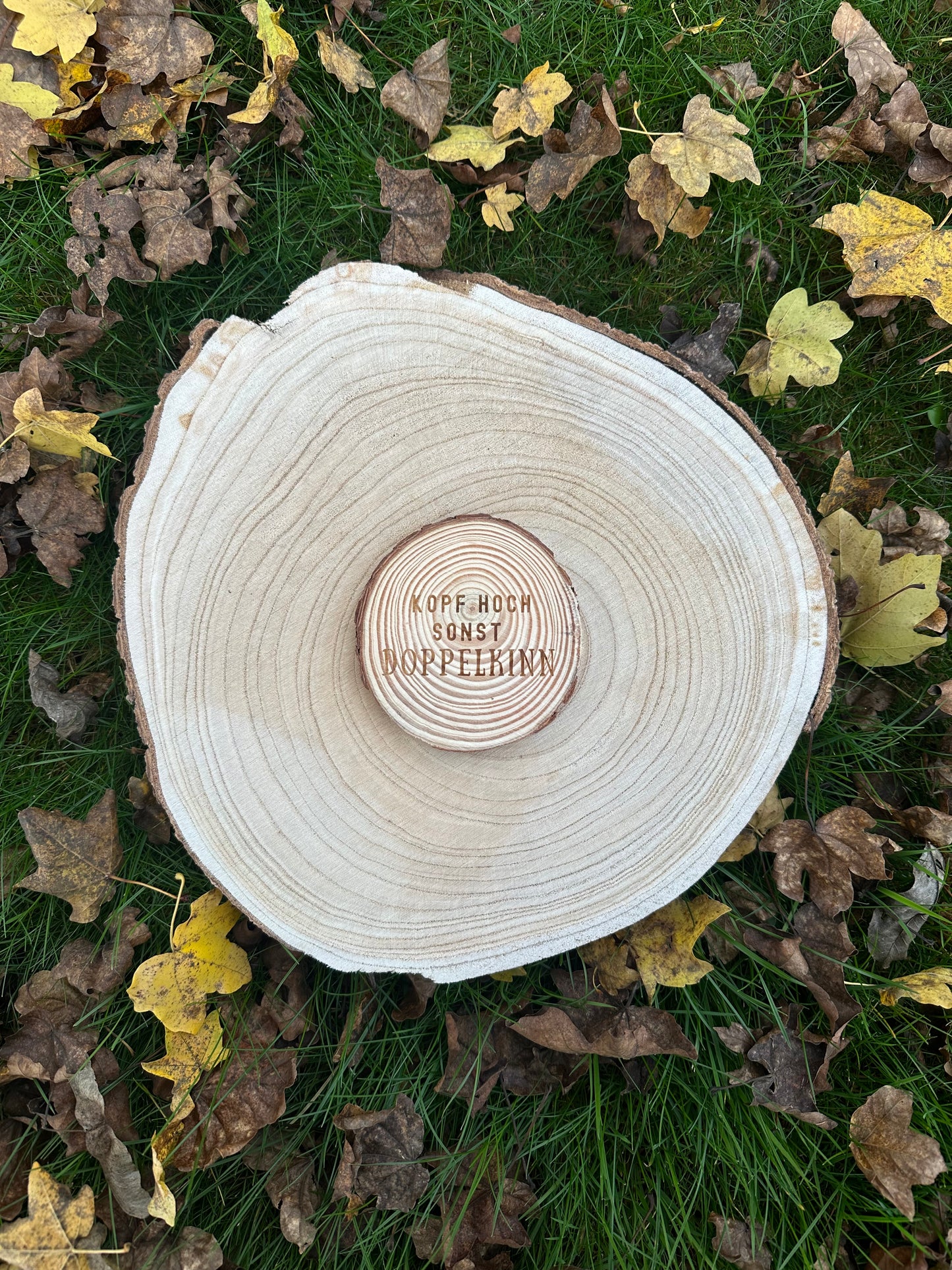 Wooden coasters – pure nature for your table