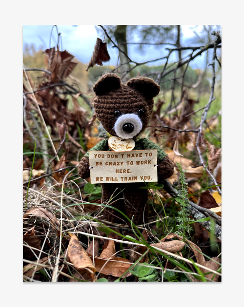 Handmade bear - "You don't have to be crazy to work here. We will teach you"