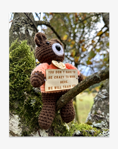 Handmade bear - "You don't have to be crazy to work here. We will teach you"